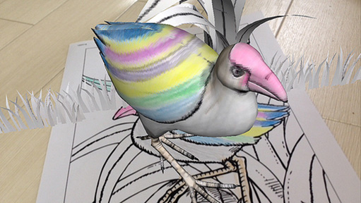 レインボーの羽にピンクの前頭部、まさに塗り絵そのもの！