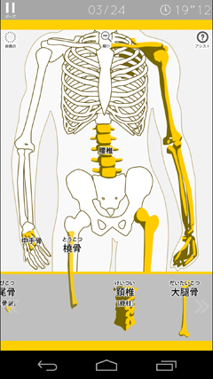 「人体模型パズル」では骨や臓器の位置を学習できる