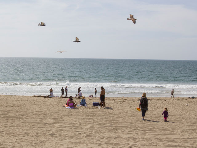 自宅から車で10分の所にあるビーチでは、多くの家族連れが毎日訪れている。こんな風に子どもを連れて遊びに来る日を夢見て！