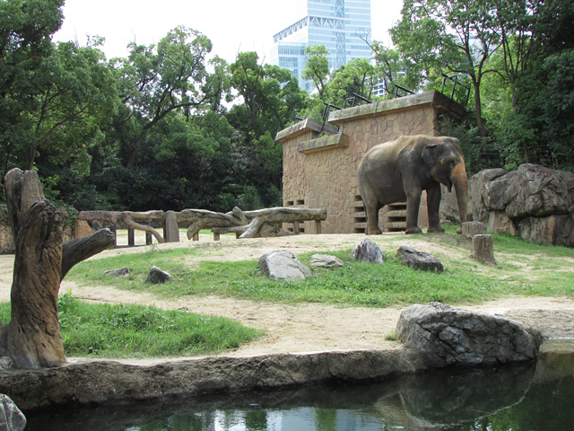 ランキング1位は大阪の天王寺動物園。その理由とは……