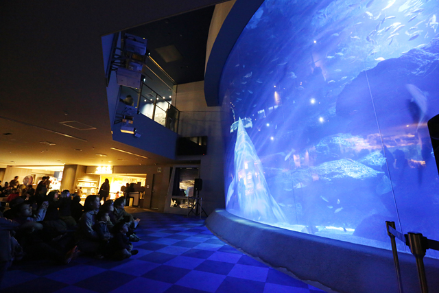 東京大水槽では「小笠原から実物大クジラがやってきた！」というプロジェクションマッピングを上映していた