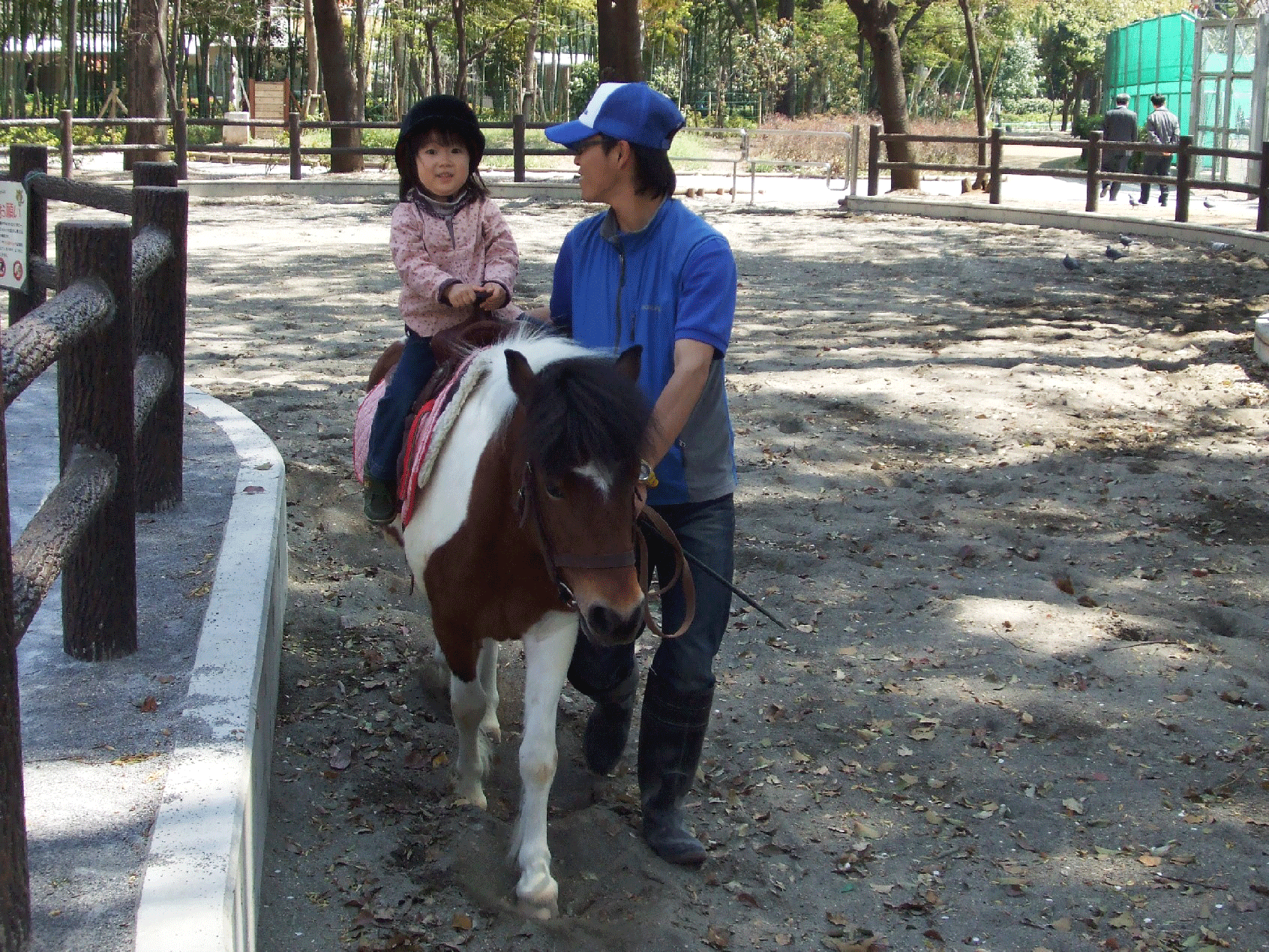 「板橋区立こども動物園」はポニーの体験乗馬のほか、親も一緒に乗れる「ポニーの馬車」なども楽しめる