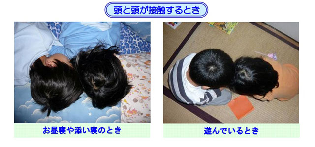 （出典）東京都福祉保健局　アタマジラミ対策パンフレット