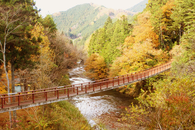 秋川渓谷にかかる全長96メートルの石舟橋。紅葉は11月中旬が見頃