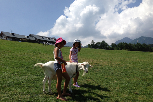 セカンドハウス購入以前から、夏になると奈緒さんの京都に住むご両親＋犬と共に、八ヶ岳を訪れていたそう