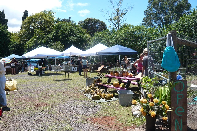 ローカルが集う「ファーマーズマーケット」は須賀さんが必ず訪れるスポット。写真はマウイ島のマカワオ